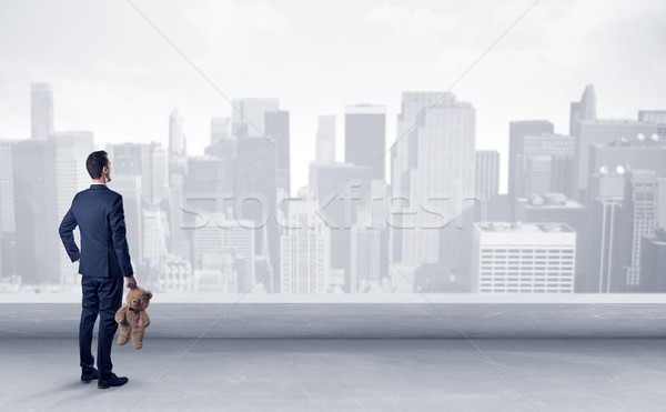 Businessman looking at a big city panorama Stock photo © ra2studio