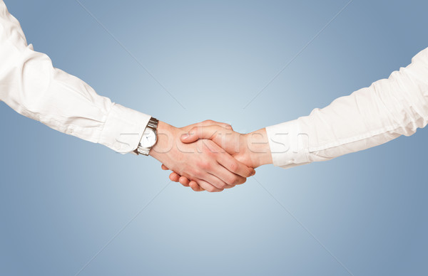 Business handshake Stock photo © ra2studio