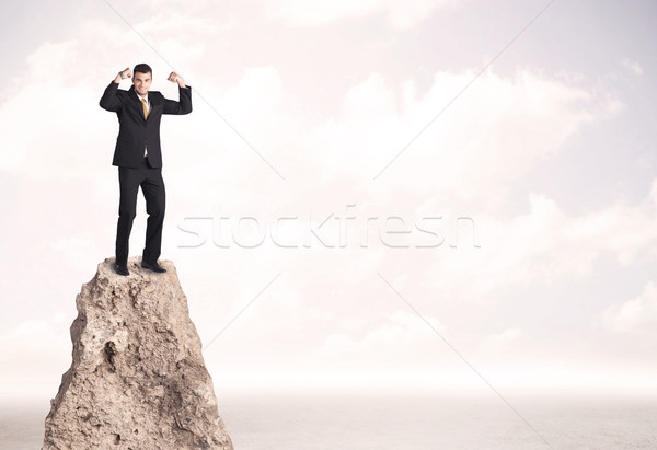 Happy businessman standing on cliff Stock photo © ra2studio