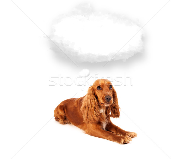 Cute dog with empty cloud bubble Stock photo © ra2studio