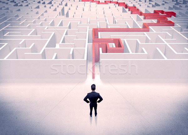 Maze solved for businessman concept Stock photo © ra2studio