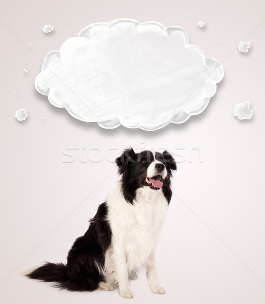 Stock photo: Cute border collie with empty cloud