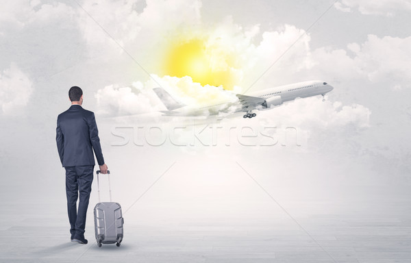 Businessman with luggage walking to airplane Stock photo © ra2studio