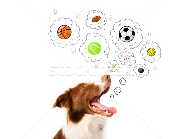 Cute dog with balls in thought bubbles Stock photo © ra2studio