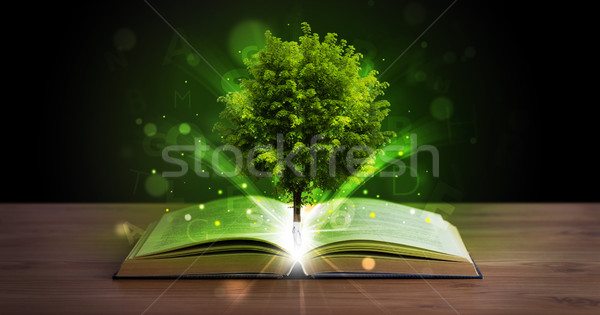 Open book with magical green tree and rays of light Stock photo © ra2studio