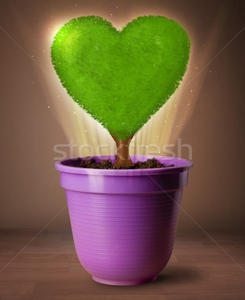 Eco hart boom uit bloempot Stockfoto © ra2studio