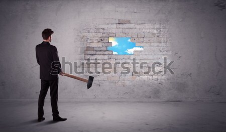 Business man hitting brick wall with hammer Stock photo © ra2studio