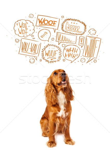 Cute dog with barking bubbles Stock photo © ra2studio