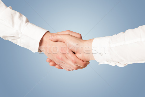 Business handshake Stock photo © ra2studio