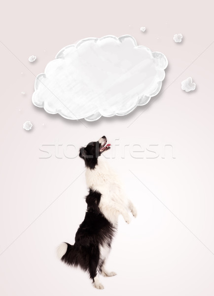 Bonitinho border collie vazio nuvem preto e branco acima Foto stock © ra2studio