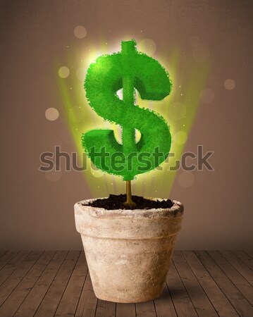 Signo de dólar árbol fuera maceta brillante negocios Foto stock © ra2studio
