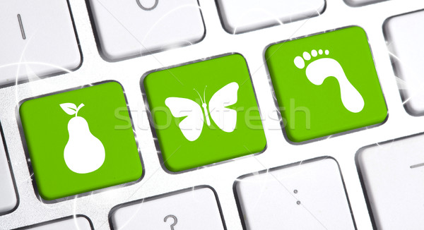 Imagine de stoc: Tastatură · eco · optiune · alb · Internet · muncă