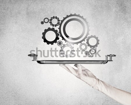 Stock photo: Working cog wheel concept on tray