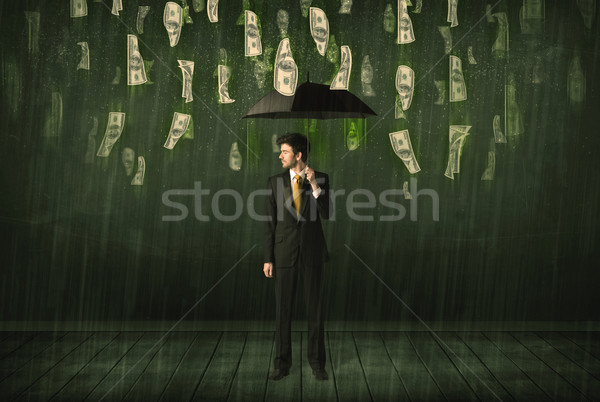 Geschäftsmann stehen Dach Dollar Rechnung Regen Stock foto © ra2studio