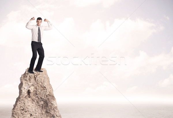 Happy businessman standing on cliff Stock photo © ra2studio