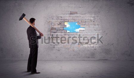 Business man hitting brick wall with hammer Stock photo © ra2studio