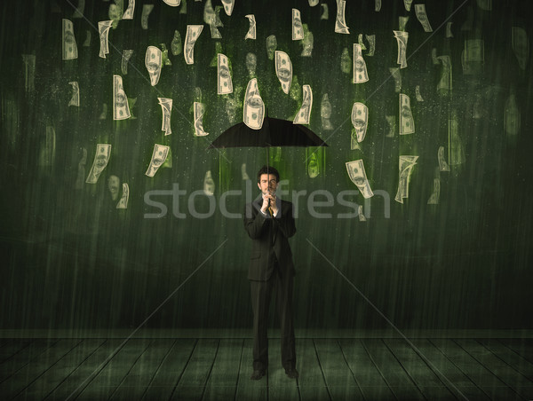 Geschäftsmann stehen Dach Dollar Rechnung Regen Stock foto © ra2studio