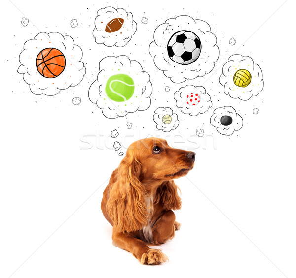 Cute chien pensé bulles pense [[stock_photo]] © ra2studio