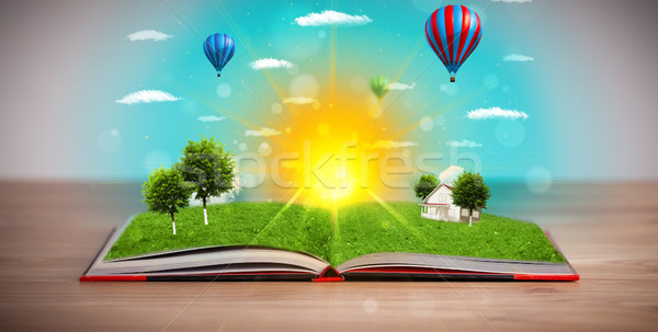 Foto stock: Livro · aberto · verde · natureza · mundo · fora