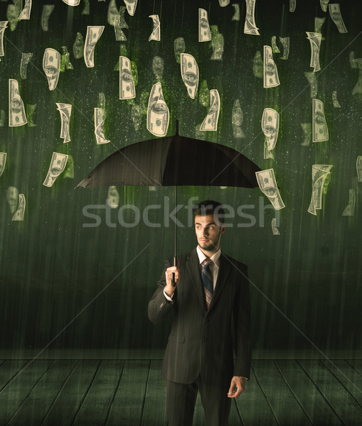 ビジネスマン 立って 傘 ドル 法案 雨 ストックフォト © ra2studio