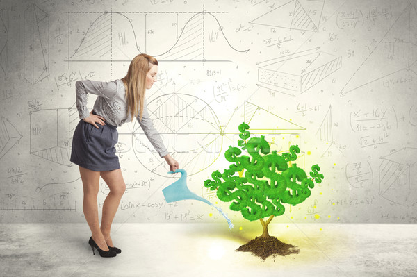 Business woman Bewässerung zunehmend grünen Dollarzeichen Baum Stock foto © ra2studio