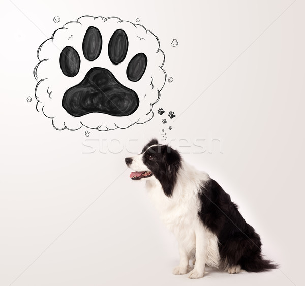 Cute border collie with paw above her head Stock photo © ra2studio