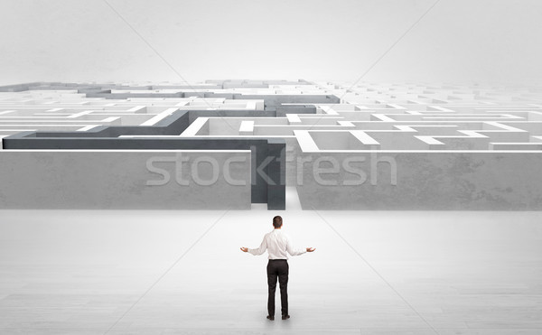 Stock photo: Businessman starting a stated labyrinth