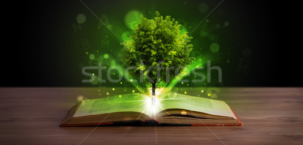 Stockfoto: Open · boek · magisch · groene · boom · stralen · licht · houten