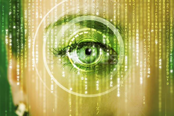 Modern cyber woman with matrix eye  Stock photo © ra2studio