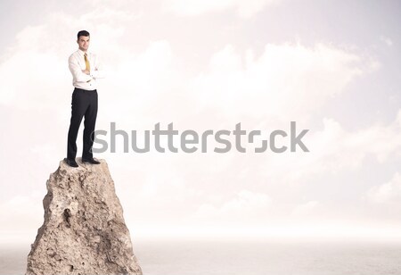 Businesswoman on rock mountain Stock photo © ra2studio