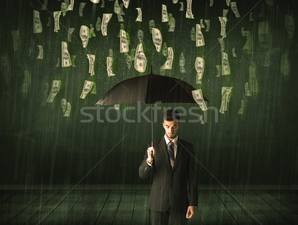 Işadamı ayakta şemsiye dolar fatura yağmur Stok fotoğraf © ra2studio
