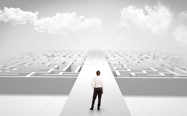Businessman going straight on two mazes Stock photo © ra2studio