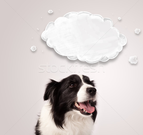 Stock photo: Cute border collie with empty cloud