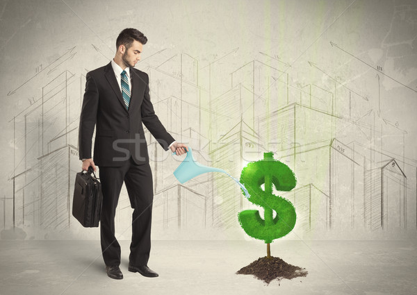 Business man poring water on dollar tree sign on city background Stock photo © ra2studio