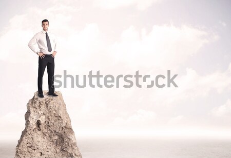 Happy businessman standing on cliff Stock photo © ra2studio