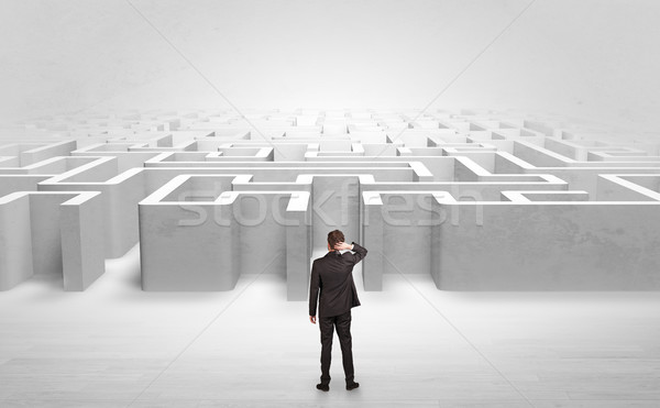 Businessman choosing between entrances at the edge of a maze Stock photo © ra2studio