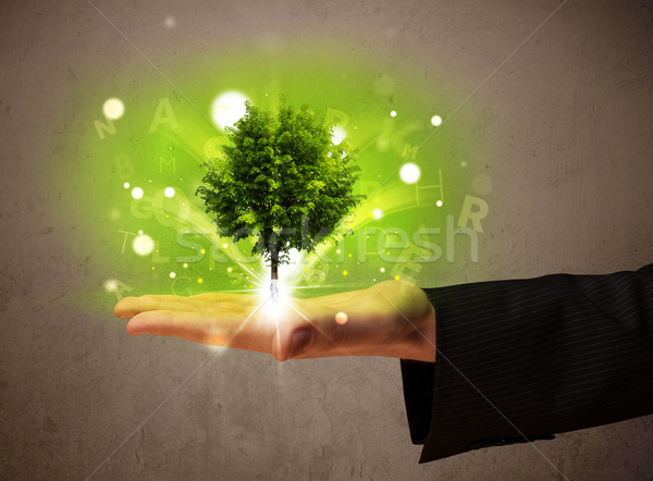 Stockfoto: Boom · groeiend · hand · zakenman · jonge