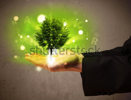 дерево растущий стороны бизнесмен молодые Сток-фото © ra2studio