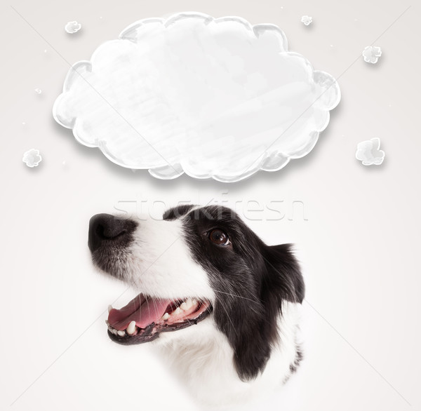 Cute border collie with empty cloud Stock photo © ra2studio
