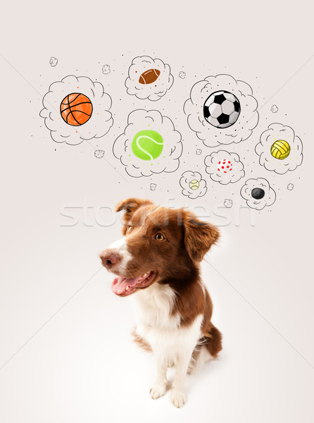 Cute chien pensé bulles brun [[stock_photo]] © ra2studio