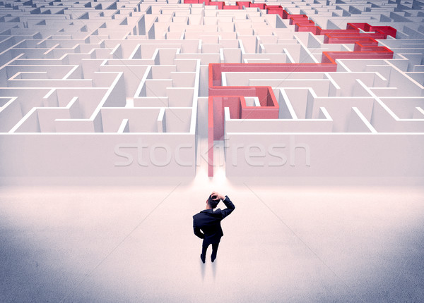 Doolhof zakenman pak labyrint Rood Stockfoto © ra2studio