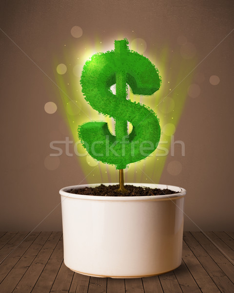 Signo de dólar árbol fuera maceta brillante negocios Foto stock © ra2studio