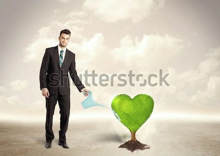 Business man watering heart shaped green tree Stock photo © ra2studio