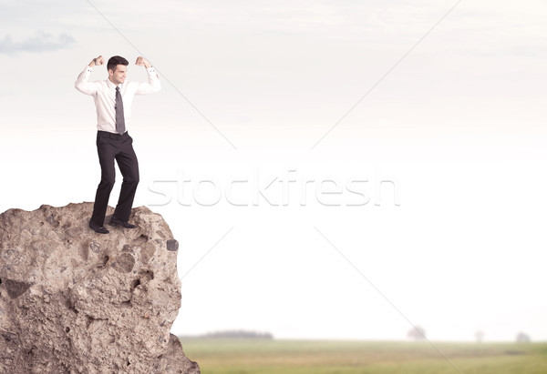 Happy salesman on cliff in the country Stock photo © ra2studio