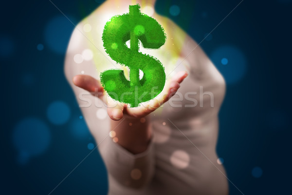 Jonge vrouw presenteren groene dollarteken jonge Stockfoto © ra2studio