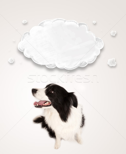 可愛 邊境牧羊犬 空的 雲 黑白 以上 商業照片 © ra2studio
