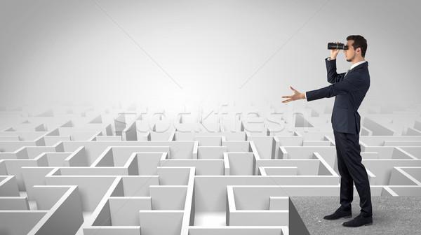 Homem em pé topo labirinto binóculo empresário Foto stock © ra2studio