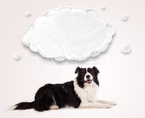 Foto stock: Cute · border · collie · vacío · nube · blanco · negro