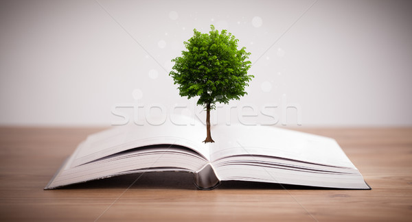 Tree growing from an open book Stock photo © ra2studio