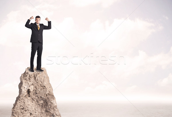 Happy businessman standing on cliff Stock photo © ra2studio